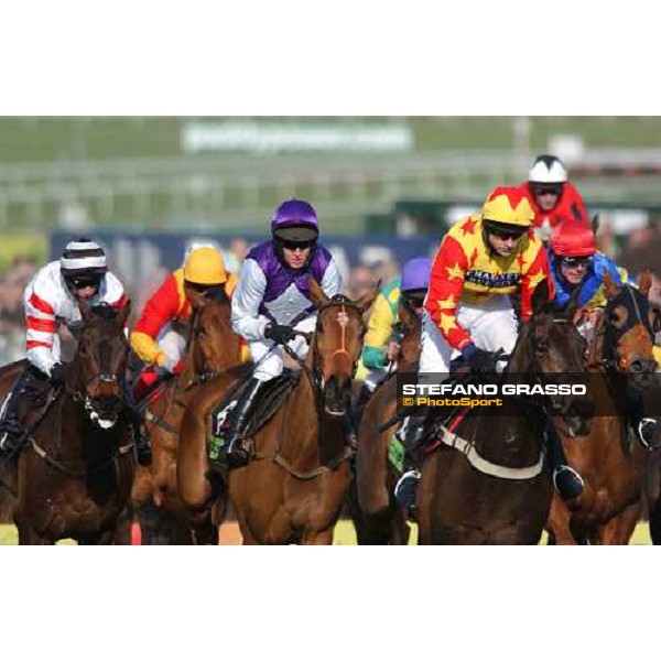 2nd turn of the Totesport Cheltenham Gold Cup Steeple Chase- in the middle the winner Barry Geraghthy on Kicking King Cheltenham - 4th day - 18th march 2005 ph. Stefano Grasso