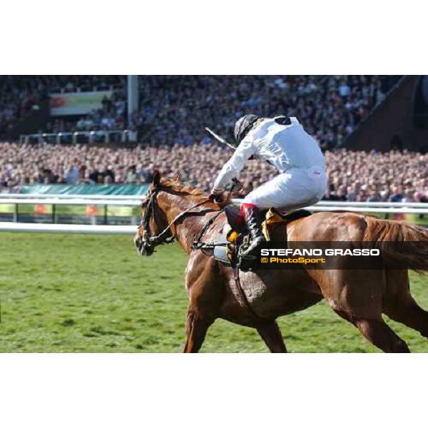 Robert Thorntgon on Penzance, winner of The JCB Triumph Hurdle Race, flying to the line Cheltenham - 4th day - 18th march 2005 ph. Stefano Grasso