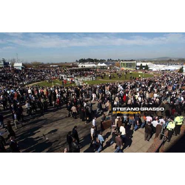 the crowd and the parade ring at The Festival Cheltenham, 4th day - 18th march 2005 ph. Stefano Grasso