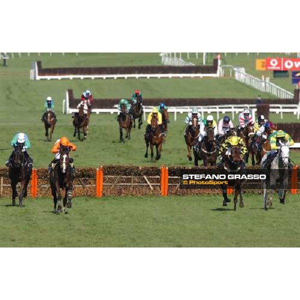 last 200 meteers in The Brit Insurance Novice\'s Hurdle Race, the winner Moulin Riche, 2nd from left Cheltenham, 4th day - 18th march 2005 ph. Stefano Grasso