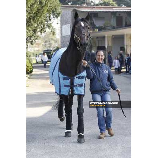 Varenne and his groom Anna pictured at Settimo Milanese during the Anact Yearlings sales Settimo Milanese (MI), 2nd nov.2012 ph.Stefano Grasso
