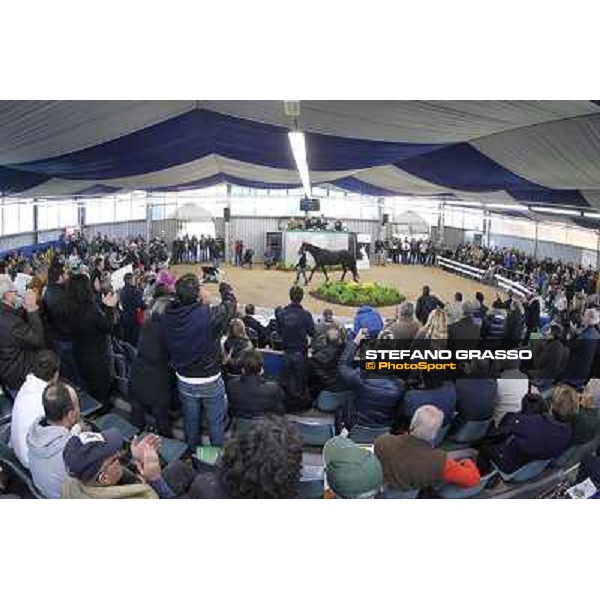 Standing ovation for Varenne Settimo Milanese(MI) - Anact selected yearlings sales - 2nd nov.2012 ph.Stefano Grasso