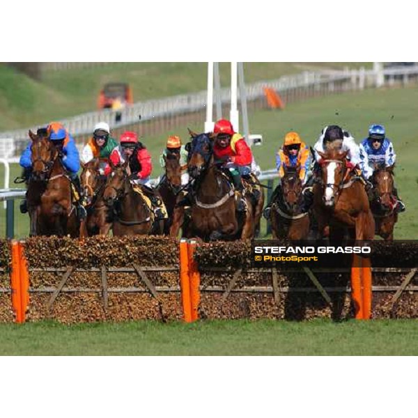 Penzance and Robert Thornton, winners of The JCB Triumph Hurdle Race, 1st from right, jump teh last hurdle Cheltenham, 4th day - 18th march 2005 ph. Stefano Grasso