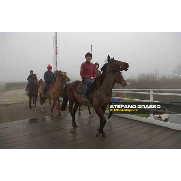 Dr. Philip Pritchard, his stable staff and Jo coming back to the stable after morning works at Purton, Gloucestershire 19th march 2005 Ph. Stefano Grasso