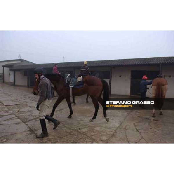 Dr. Philip Pritchard\'s stable staff, after morning works at Purton, Gloucestershire 19th march 2005 Ph. Stefano Grasso