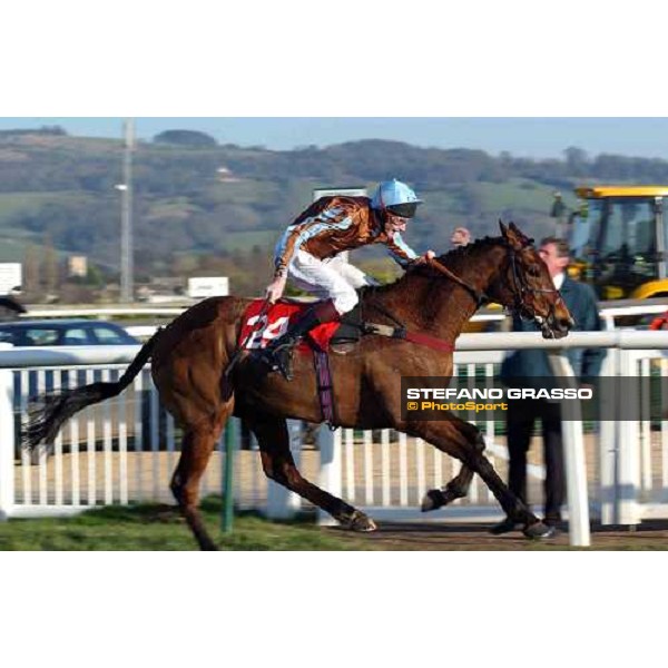 Dr. Philip Pritchard with Davoski, running to the line of The Johnny Henderson Grand Annual Steeple Chase Cheltenham - The Festival 18th march 2005 Ph. Stefano Grasso