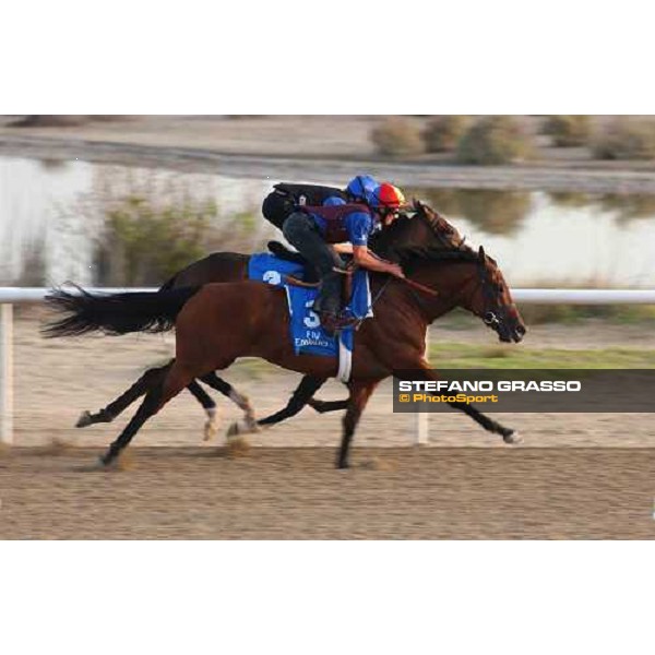 Godolphin Horses in training Frankie Dettori on Dubawi and Safsoof Al Quoz Dubai UAE 23rd march 2005 ph. Stefano Grasso