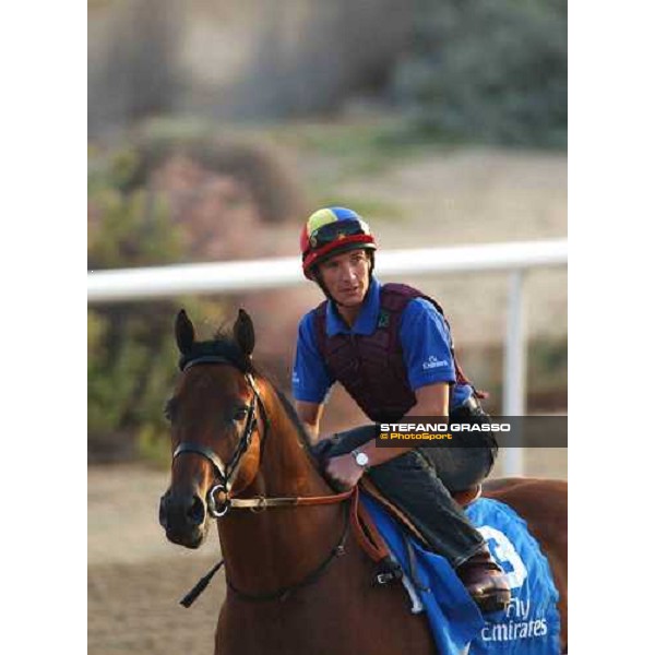 Godolphin Horses in training Frankie Dettori on Dubawi Al Quoz Dubai UAE 23rd march 2005 ph. Stefano Grasso
