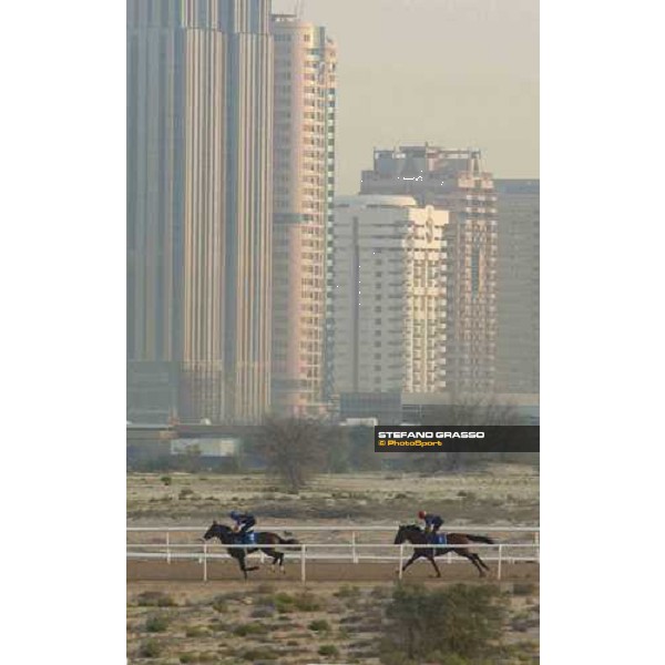 Godolphin Horses in training Frankie Dettori on Dubawi (right) and Safsoof Al Quoz Dubai UAE 23rd march 2005 ph. Stefano Grasso