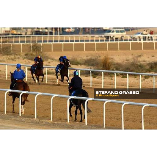 Godolphin Horses in training Frankie Dettori on Dubawi and Safsoof, in the middle Al Quoz Dubai UAE 23rd march 2005 ph. Stefano Grasso
