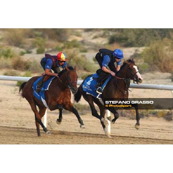 Godolphin Horses in training Frankie Dettori on Dubawi (left) and Safsoof Al Quoz Dubai UAE 23rd march 2005 ph. Stefano Grasso