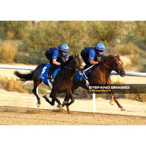 Godolphin Horses in training Tasdeed (inside) and Satchem Al Quoz Dubai UAE 23rd march 2005 ph. Stefano Grasso