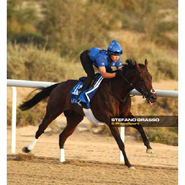 Godolphin Horses in training Satin Kiss Al Quoz Dubai UAE 23rd march 2005 ph. Stefano Grasso