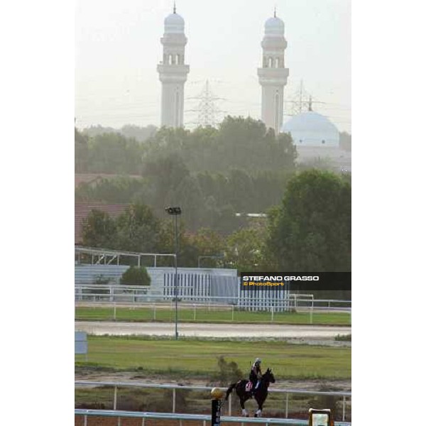 morning works at Nad El Sheba, race track Dubai 24th march 2005 ph. Stefano Grasso
