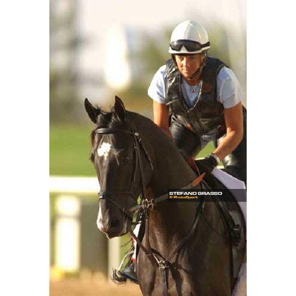 Lize Gray on Roses in May coming back after morning works at Nad El Sheba racetrack Nad El Sheba, Dubai 25th march 2005 ph. Stefano Grasso
