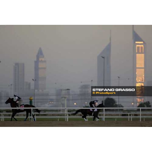Congrats and Lundy\'s Liability working early in the morning with the Dubai Skyline on the back Nad El Sheba, Dubai 25th march 2005 ph. Stefano Grasso