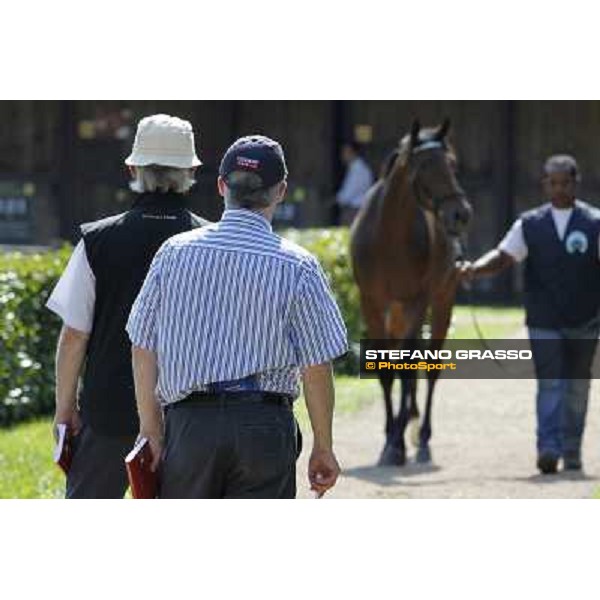 Coolmore\'s Agents SGA Selected Yearling Sale SETTIMO MILANESE (MI) - 20-21/9/2012 ph.Stefano Grasso