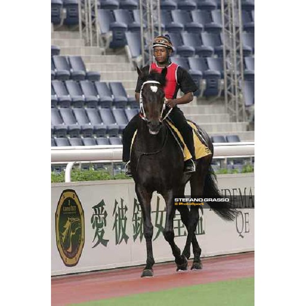 Grand Armee schooling at parade ring Hong Kong, Sha Tin racetrack 20th april 2005 ph. Hong Kong Jockey club