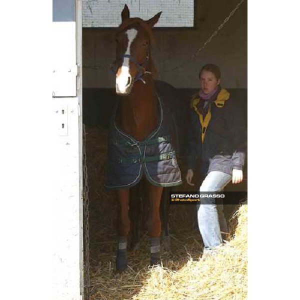 Grosbois - training center Jean Michel Bazire stables Paris febr. 26 2004 ph. Stefano Grasso