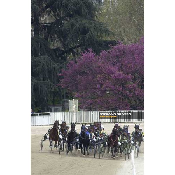 the runners of the Gran Premio d\' Europa at San Siro racetrack on the bend Milan 25th april 2005 ph. Stefano Grasso