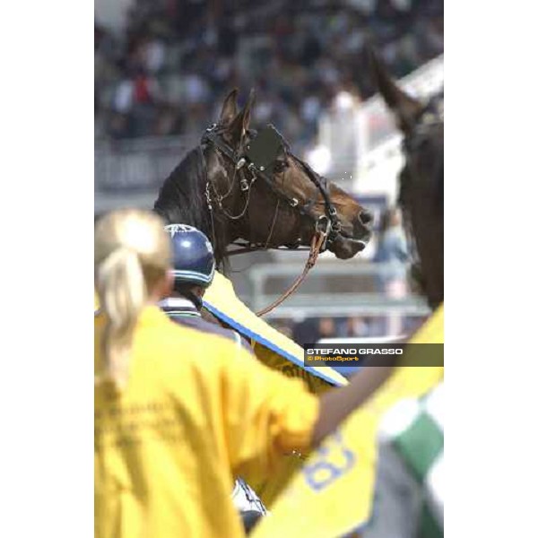 close up for Stig Johansson and Digger Crown winners of 2nd leg of Gran Premio Lotteria, during the first turn Napoli, 8th may 2005 ph. Stefano Grasso