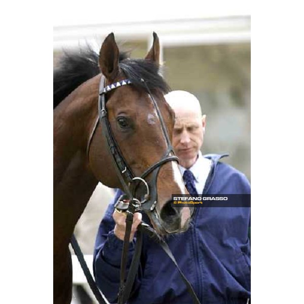 close up for Le Vie dei Colori before the Juddmonte Lockinge Stakes Newbury 14th may 2005 ph. Stefano Grasso
