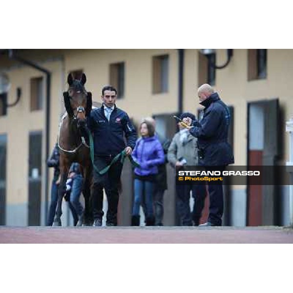 Doggy Tail Roma - Capannelle racecourse, 17th march 2013 ph.Stefano Grasso