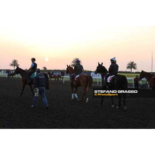 The French connection witth Alain De Royer Dupre morning track works Dubai - Meydan racecourse,27th march 2013 ph.Stefano Grasso