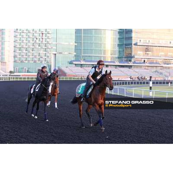 Dunaden and Meandre morning track works Dubai - Meydan racecourse,27th march 2013 ph.Stefano Grasso