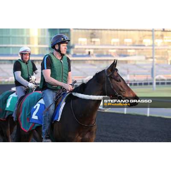 Sarkyla leads the french connection morning track works Dubai - Meydan racecourse,27th march 2013 ph.Stefano Grasso
