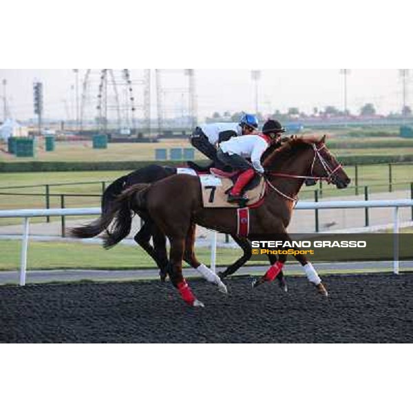 Taisei Legend and Keiai Leone morning track works Dubai - Meydan racecourse,27th march 2013 ph.Stefano Grasso