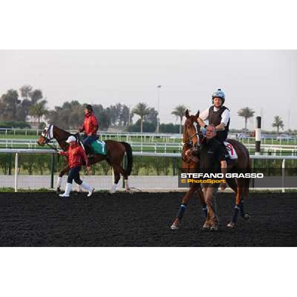 Red Cadeaux and Gentildonna morning track works Dubai - Meydan racecourse,27th march 2013 ph.Stefano Grasso