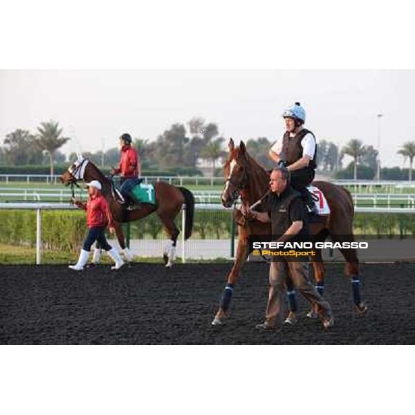 Red Cadeaux and Gentildonna morning track works Dubai - Meydan racecourse,27th march 2013 ph.Stefano Grasso