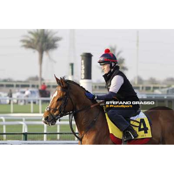 I\'m a Dreamer morning track works Dubai - Meydan racecourse,27th march 2013 ph.Stefano Grasso