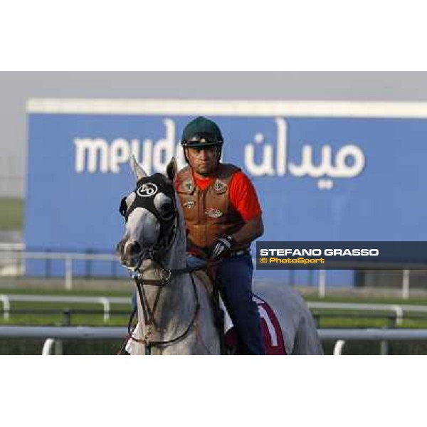 morning track works Dubai - Meydan racecourse,27th march 2013 ph.Stefano Grasso