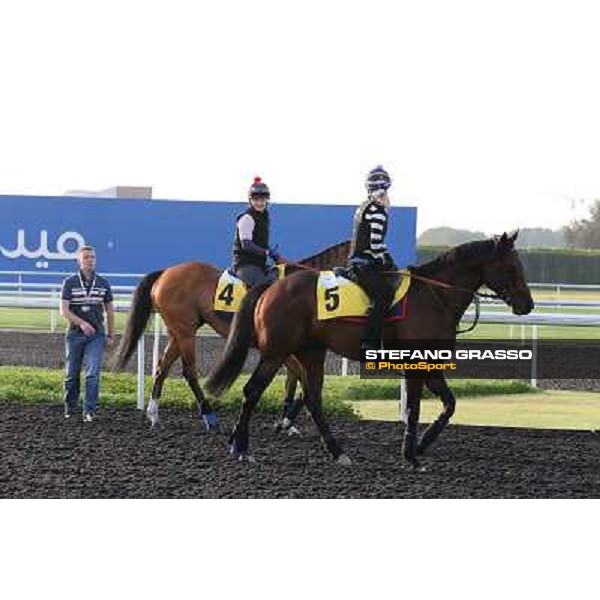 I\'m a Dreamer and Trade Storm morning track works Dubai - Meydan racecourse,27th march 2013 ph.Stefano Grasso