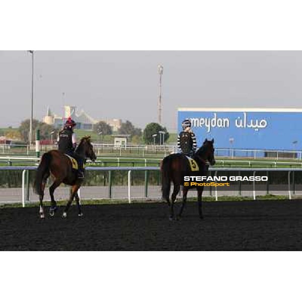 I\'m a Dreamer and Trade Storm morning track works Dubai - Meydan racecourse,27th march 2013 ph.Stefano Grasso