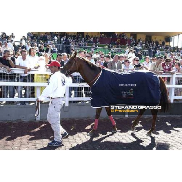 St Paul House winner of Premio Tudini at Rome Capannelle Derby Day Rome, 22th may 2005 ph. Stefano Grasso