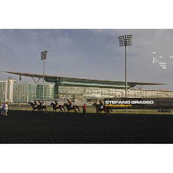 So You Think leads the Aidan O\'Brien\'s team during morning track works Dubai, Meydan racecourse - 30th march 2012 ph.Stefano Grasso