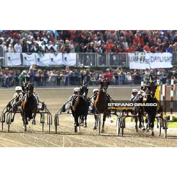 on the straight of the final Per Oleg Midtfjeld with Steinlager leads on Gidde PAlema and Giant Superman, followed by Civil Action Stockholm, Solvalla 29th may 2005 ph. Stefano Grasso