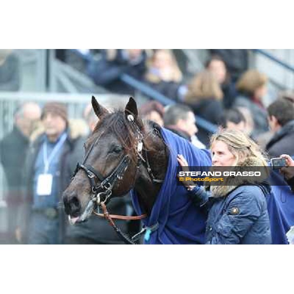 Turbo Jet and Karin Dubois winners of the Prix du Luxembourg Paris - Vincennes, 25th jan.2014 ph.Stefano Grasso