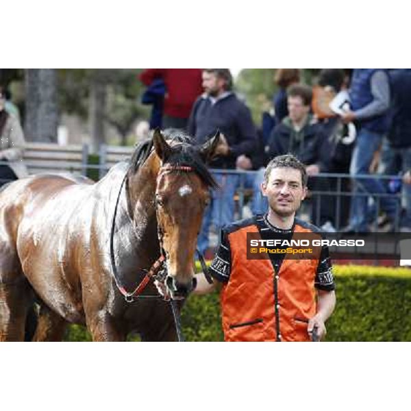 Mr Gotham after winning the Premio Circo Massimo Roma - Capannelle racecourse,6th april 2014 ph.Stefano Grasso