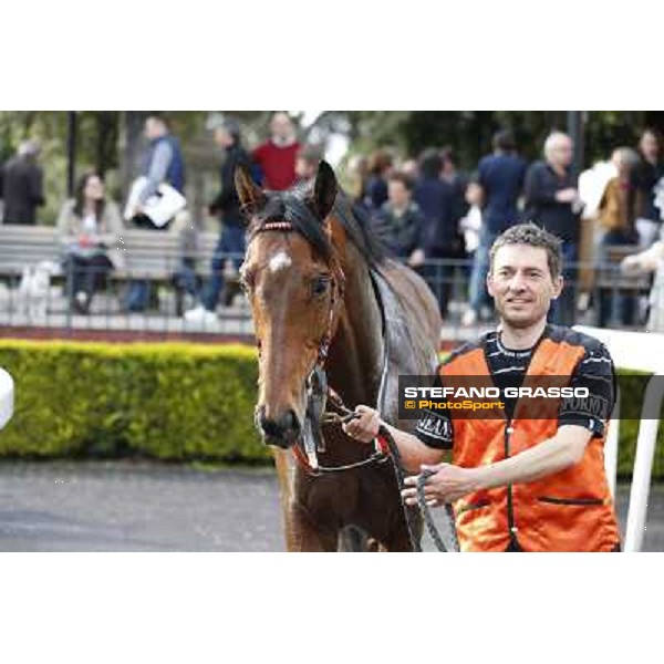Mr Gotham after winning the Premio Circo Massimo Roma - Capannelle racecourse,6th april 2014 ph.Stefano Grasso