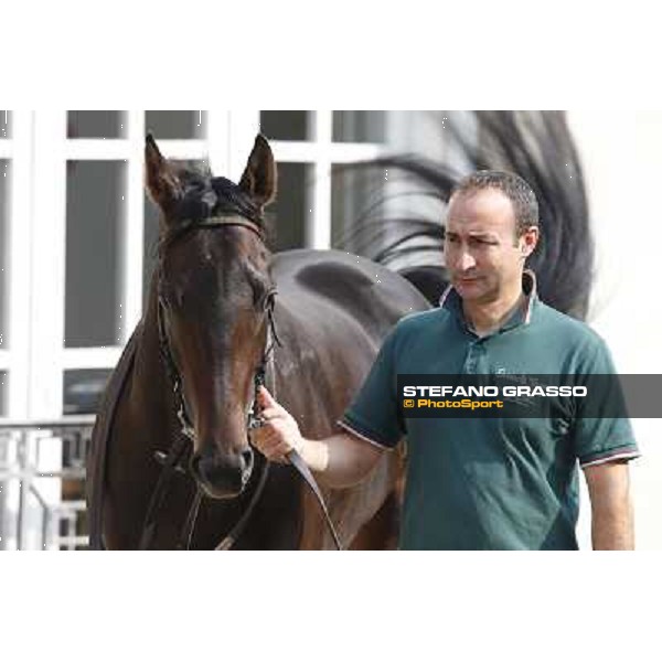 Avabin - Walter Gambarota - Premio Criterium Nazionale Milano-San Siro Racecourse,28th sept.2014 ph.Stefano Grasso/Trenno srl