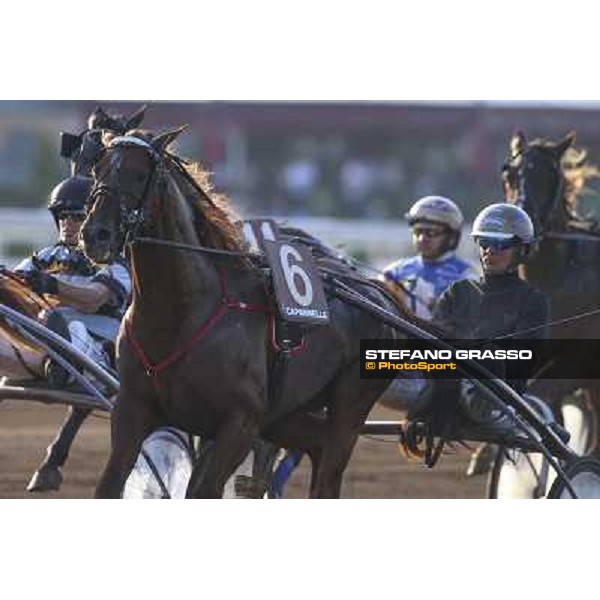 Rome Capannelle Racecourse 5th october 2014 87° Derby del Trotto 10eLotto Goop Bjorn with sans one Bar 2nd on the race photo Domenico Savi/GRASSO