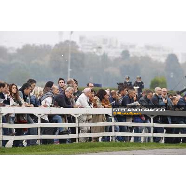 Gran Criterium - A touch of blue Milan, San Siro racecourse,12 ottobre 2014 photo Stefano Grasso/Trenno srl