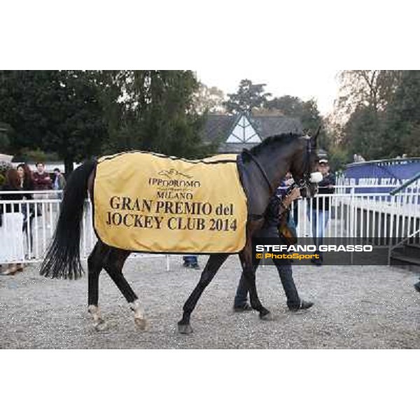 Gran Premio del Jockey Club Dylan Mouth Milano,San Siro racecourse 19 otct.2014 photo Stefano Grasso/Trenno srl