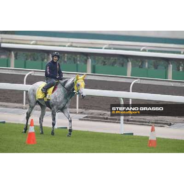 Mirco Demuro on Little Gerda Morning track works Hong Kong - Sha Tin racecourse,10/12/2014 ph.Stefano Grasso