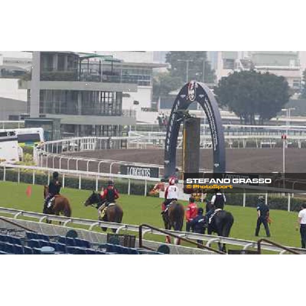 Japanese horses Morning track works Hong Kong - Sha Tin racecourse,10/12/2014 ph.Stefano Grasso