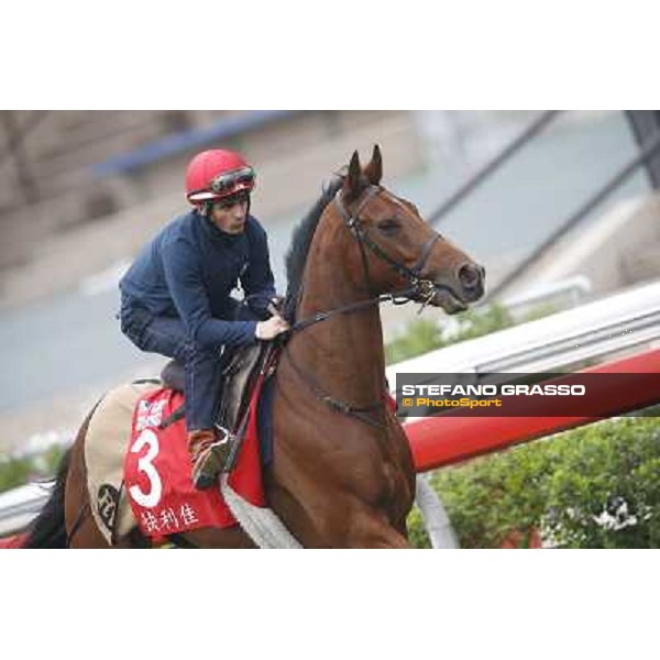 Andrea Atzeni on Farraaj Hong Kong - Sha Tin racecourse,12/12/2014 ph.Stefano Grasso